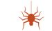 Araneae
