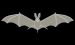 Bat 2