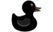 Black Duck