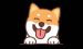 BlackShiba