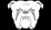 bulldog