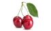Cerezas