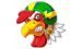CHICKENS BIKE