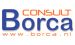 Consult Borca