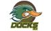 ducks