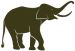 Elefante