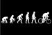 Evoluzione
