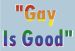 Gay è buona