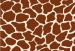Jiraffe
