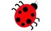 Coccinella