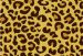 Leopardo