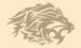 Lion 2