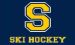 skihockey
