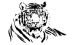 Tiger 3
