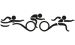 Triathlon